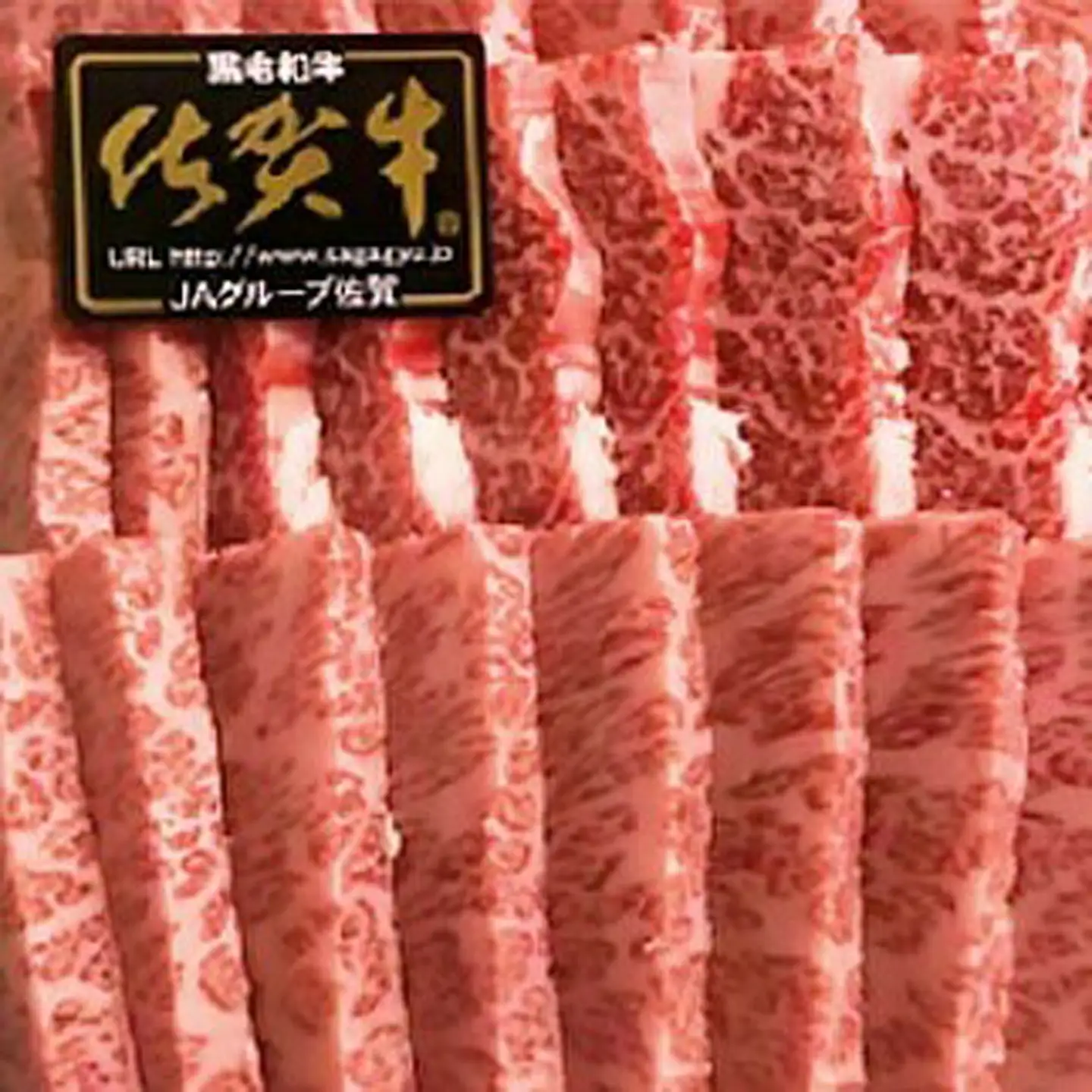 【6回定期便】老舗の佐賀牛 極撰定期便 奇数月配送 全6回 定期便 _f-30