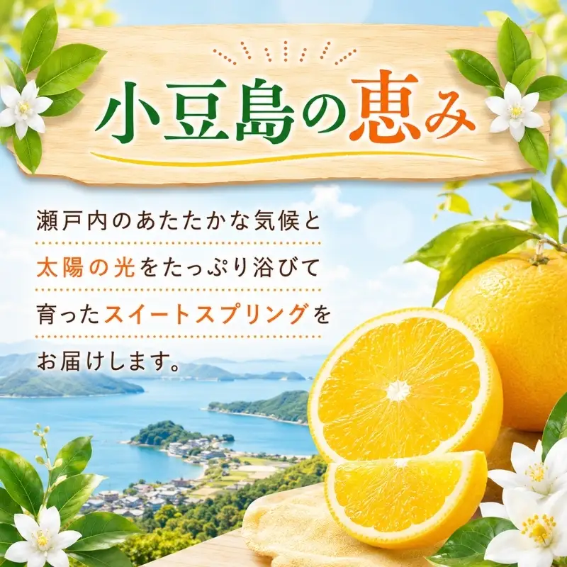 スイートスプリング 柑橘 みかん 蜜柑 約10kg 3L～Mサイズ 小豆島 瀬戸内 香川県産 国産 3L 2L L Mサイズ 果物 くだもの 果物類 柑橘類 ミカン フルーツ 生鮮 食品 甘い 爽やか 香り 小豆島特産 ギフト 贈り物 贈答 五色青果 香川県 土庄町
