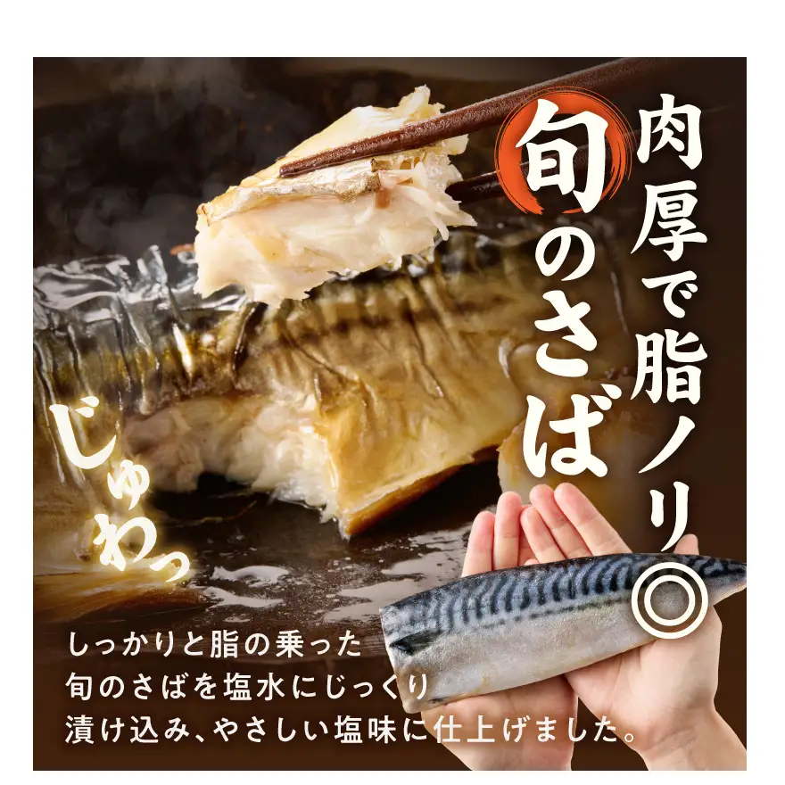 高評価 リピーター続出 塩サバフィレ 8枚 塩サバ 食べやすい 切り身 真空パック 魚 おかず 時短 肉厚 脂乗り 塩味 ジューシー 焼くだけ 簡単 ご飯のお供 焼き魚 煮魚 凍便 栄養 和歌山県 湯浅町 送料無料_G7320