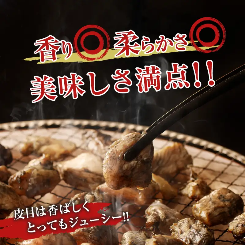 宮崎県産若鶏モモ肉切身＆炭火焼セット(合計2.25kg) 鶏肉 加工品 国産_T017-0035
