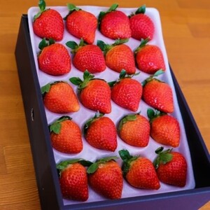 あまおう いちご いちごの王様 福田ファーム あまおう【2L 20粒 化粧箱入り】
