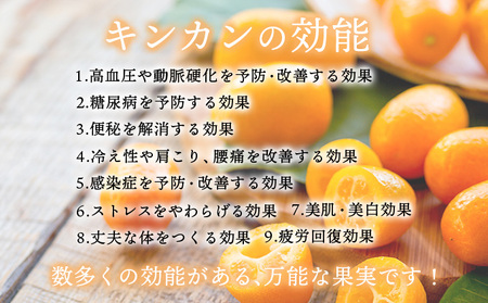 【ふるなびWEEK対象】串間産きんかん使用！「無添加」にこだわったきんかんコンポートとジャムセット(2種・合計4個)_K018-001