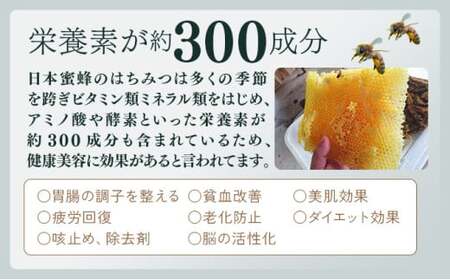 【数量限定】串間産純度100％ 日本蜜蜂はちみつ 1200g_K017-019