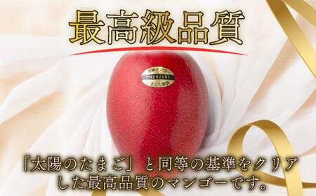 糖度15度以上の宮崎完熟マンゴー(5L×1玉入・贈答用) ＜ギフト用＞1箱_K005-011