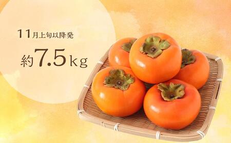 【訳あり・ご家庭用】和歌山県産 富有柿 約7.5kg【11月上旬から11月下旬頃順次発送】【S96006-mtgn050】