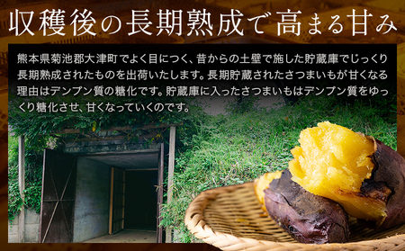 中無田農園の紅はるか 約1.5kg さつまいも 芋