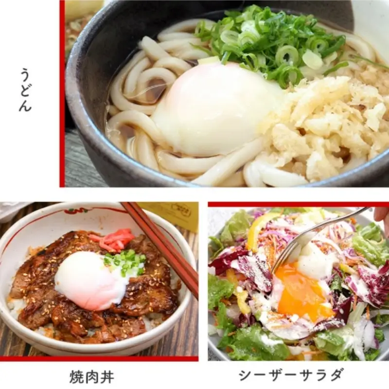 No.0980 森山の温泉たまご　たまご美人赤玉10個入り×6箱セット