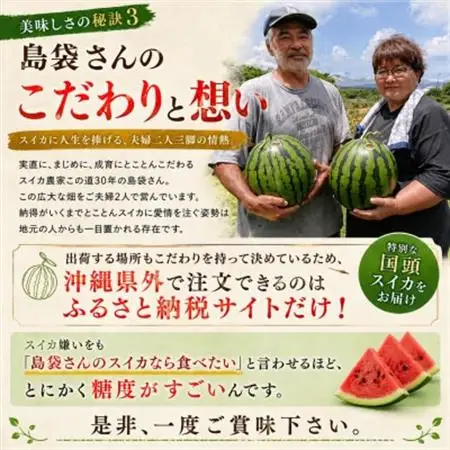 【2027年2月中旬から順次発送】島袋さんの冬スイカ 1玉(3.5～4.5kg)【配送不可地域：離島】【1577664】