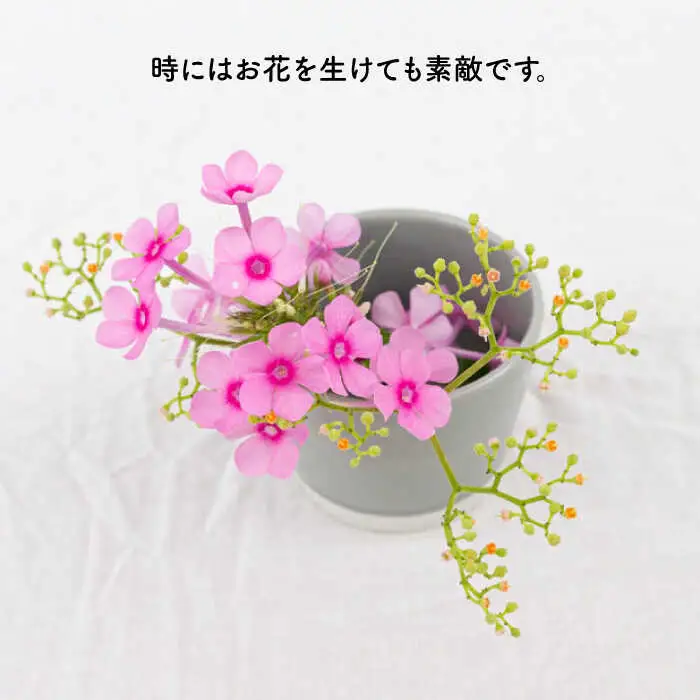 【波佐見焼】そば猪口 6点セット iroiro ペールカラー 【藍染窯】 蕎麦猪口 そばちょこ カップ フリーカップ [JC40]