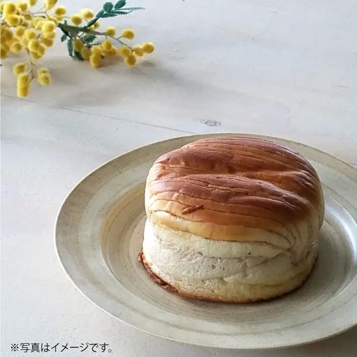 【波佐見焼】Shabby chic style 19cm プレート 4枚セット 食器 皿【和山】 [WB86]  波佐見焼