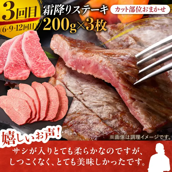 【12回定期便】A4 A5 佐賀牛 霜降り総計12kg[FAY024]