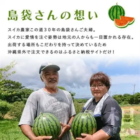 【先行受付・2027年6月上旬から順次】島袋さんの初夏スイカ大玉 2玉(1玉5.0～7.0kg)【配送不可地域：離島】【1577673】