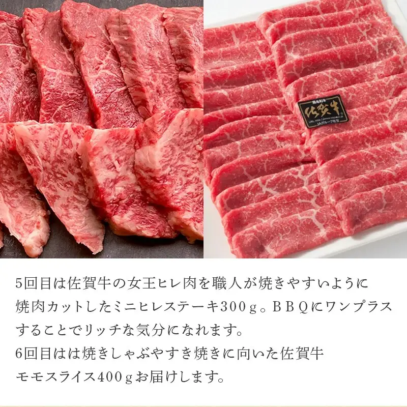 「定期便全6回」 佐賀牛 お試し定期便 寄附翌月から発送 (合計2.84kg)