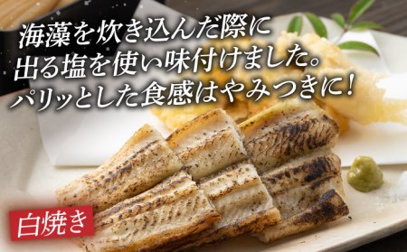 対馬 穴子 セット 500g 煮穴子 白焼き [WAD022]あなご 食べ比べ 白焼き 煮穴子