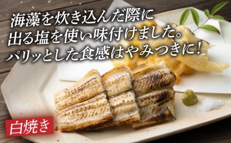 対馬 穴子 W セット 1kg 煮穴子 白焼き [WAD028] あなご 食べ比べ 白焼き 煮穴子