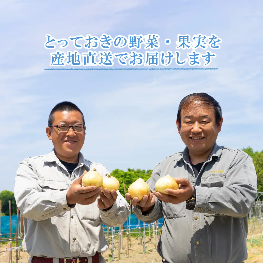 【定期便】名手農園 淡路島特産玉ねぎ10kgの12ヶ月コース 玉ねぎ