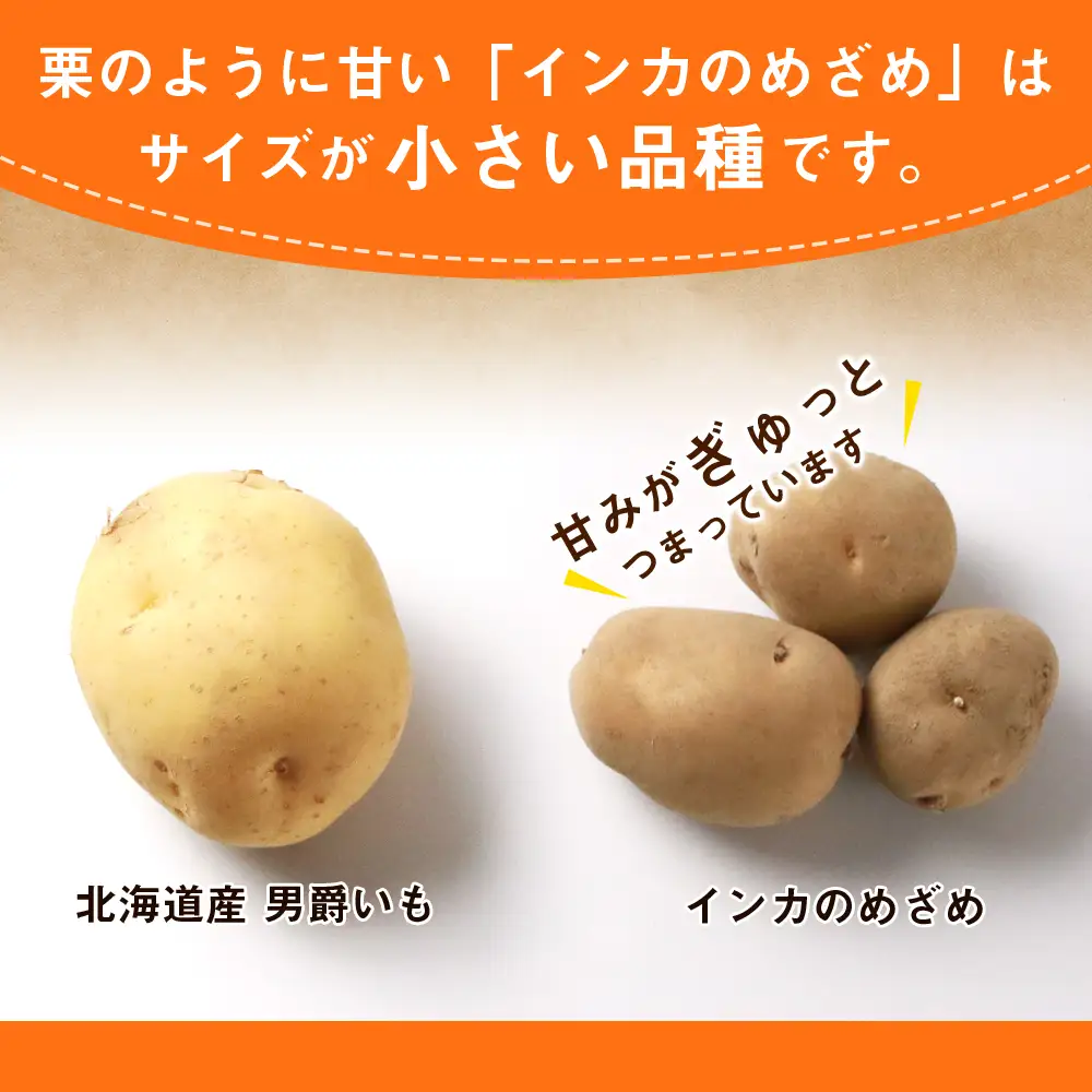 【2027年1月以降発送】越冬インカのめざめ混合 20kg 北海道ふるさと納税 ふるさと納税 北海道 野菜 千歳市 グルメ 野菜 イモ ジャガイモ インカのめざめ 北海道千歳市
