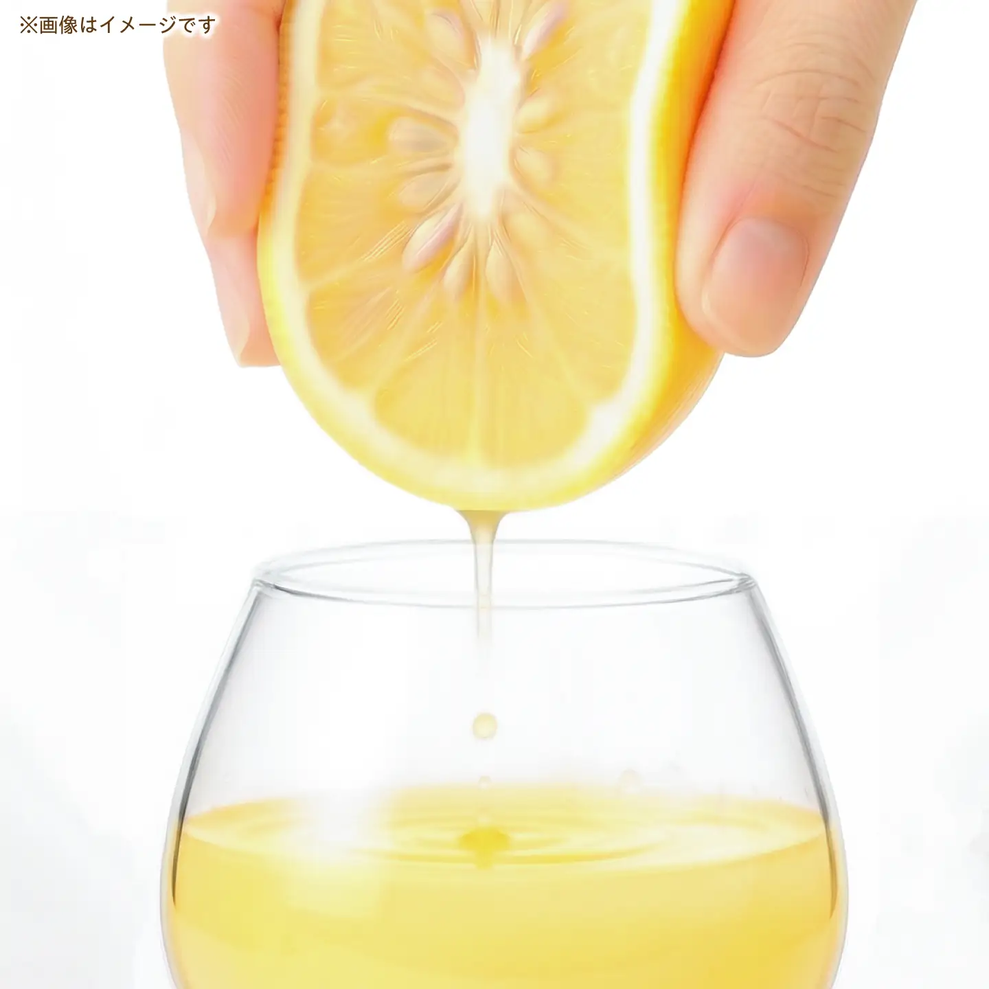 高知県 土佐市産 KONATSU JUICE KJ 100％ 500ml (1本) 高知県 土佐市【川野果樹園】 [BQCB002]