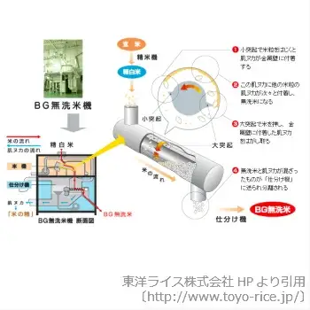 BG無洗米コシヒカリ 5kg×3回 定期便【隔月】【令和7年産 2ヶ月に1回 配送 6ヶ月 計15kg 半年間 島根県産 愛を米 米 こしひかり 新生活応援 お試し 節水 時短 アウトドア キャンプ 東洋ライス おすすめ 島根県 安来市】【45-SS-16】