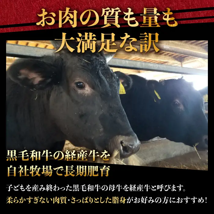 牛肉切り落とし 黒毛和牛 計1.2kg 牛肉切り落とし IAX003