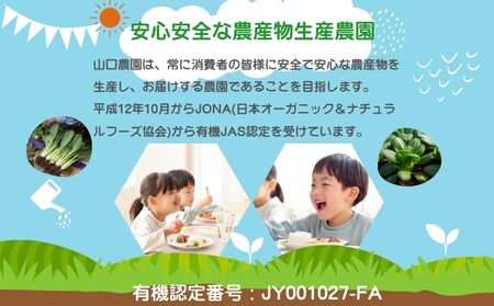農家のたっぷり野菜カレー 10個／ふるさと納税 レトルトカレー 詰め合わせ ギフト 10食 野菜 ふるさと 有機野菜 オーガニック 飯 簡単 時短 保存食 奈良県 宇陀市 山口農園