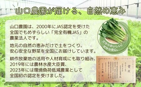 （チルド）山口農園 有機野菜 おまかせセット ／ふるさと納税 山口農園  伝統野菜 オーガニック ベジタリアン 無農薬 野菜セット  農家直送  詰め合わせ 奈良県 宇陀市 