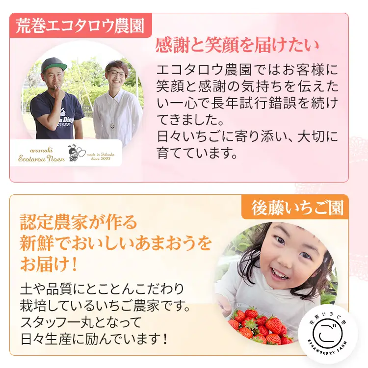 いちご あまおう 約250g×4P 計1000g 【2027年1月～4月に順次出荷予定】いちご CB223