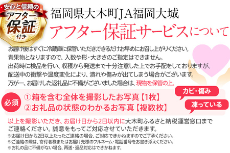 【アフター保証】先行予約 いちご あまおう 1080g（約270g×４パック）【2月上旬から順次発送】 AG010