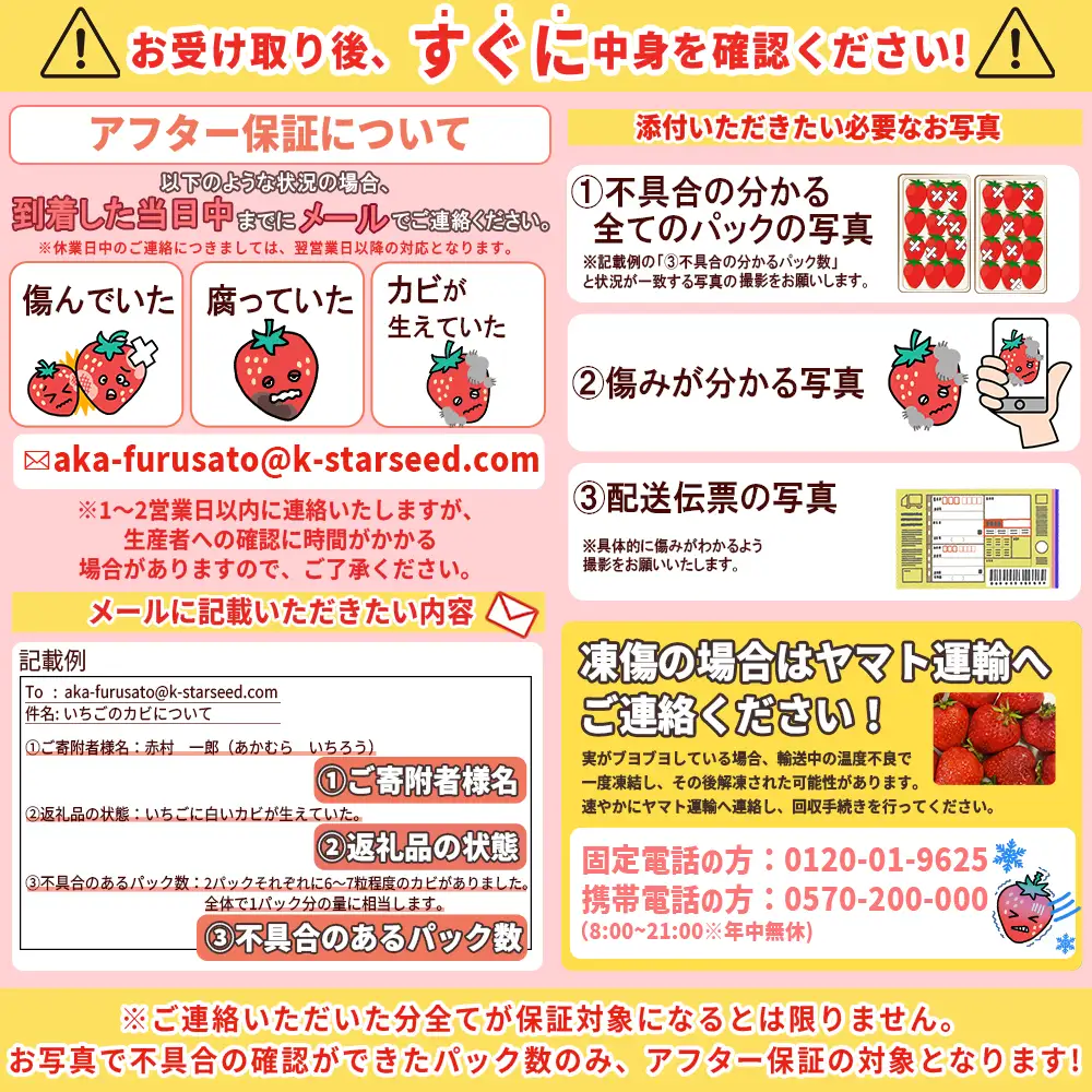 【先行予約／2027年出荷】福岡県産「あまおう」定期便3回お届け (1月・2月・3月) 2J2