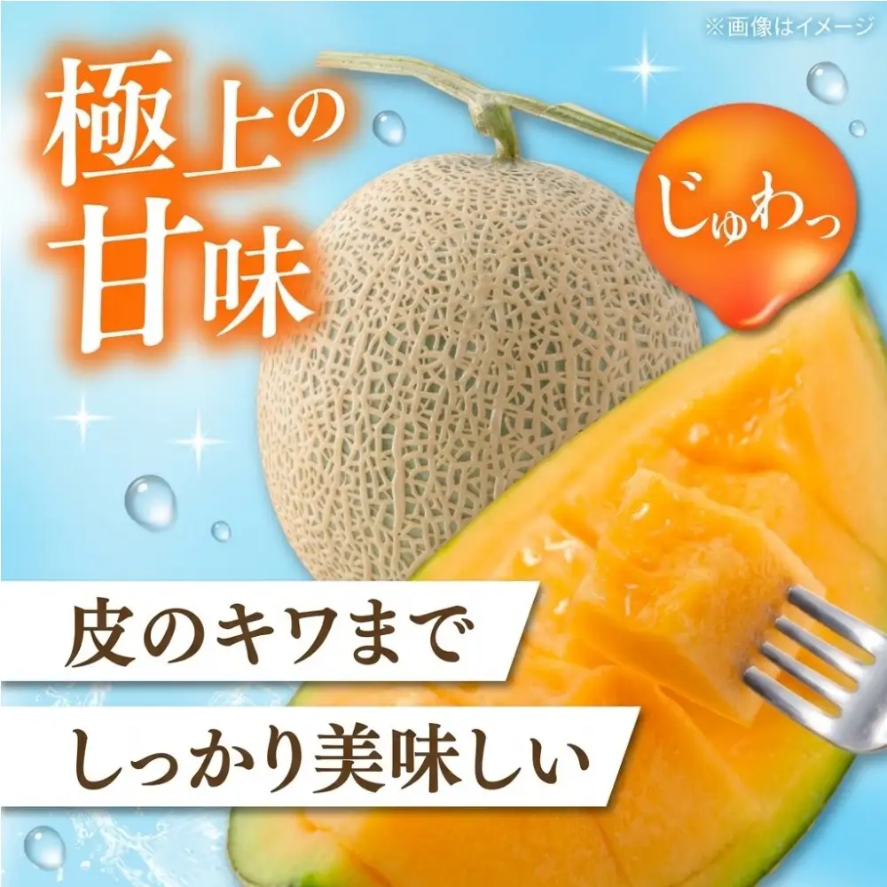 <数量・期間限定> メロン 糖度16度以上 2.0kg以上 ×2玉 4kg おいわけメロン 赤肉メロン スイーツ デザート 果物 国産 北海道 安平町 プレゼント 贈答 ギフト