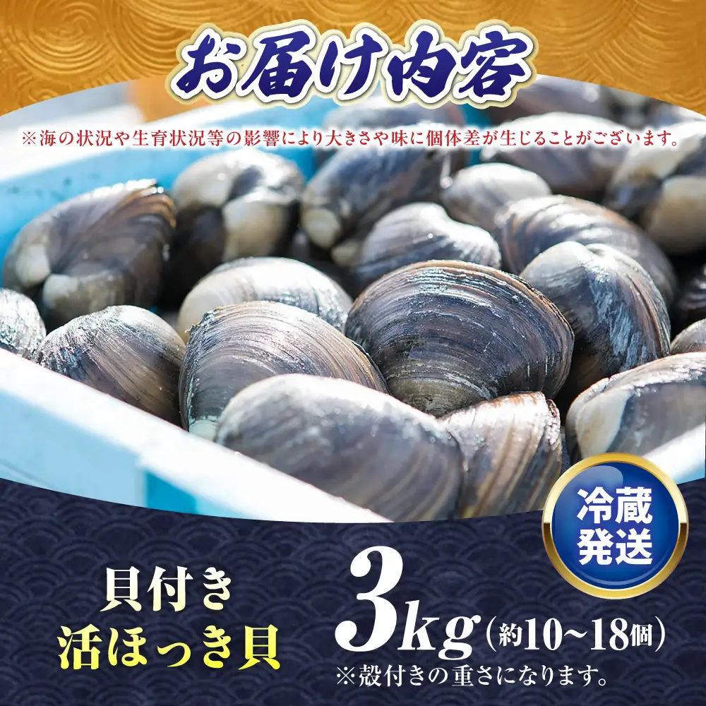【2026年7月中旬以降順次発送再開】活ほっき貝 3kg 約10〜18個  ホッキ 冷蔵発送 [AXAL003]