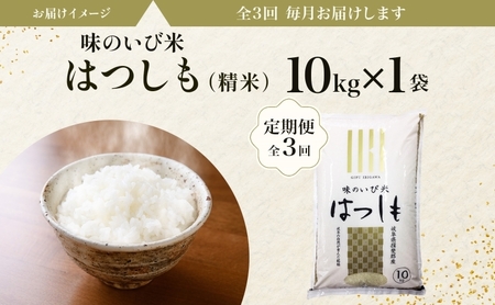 はつしも 味のいび米 幻の米 大粒 ブランド米 はつしも【10kg】【定期便全3回】
