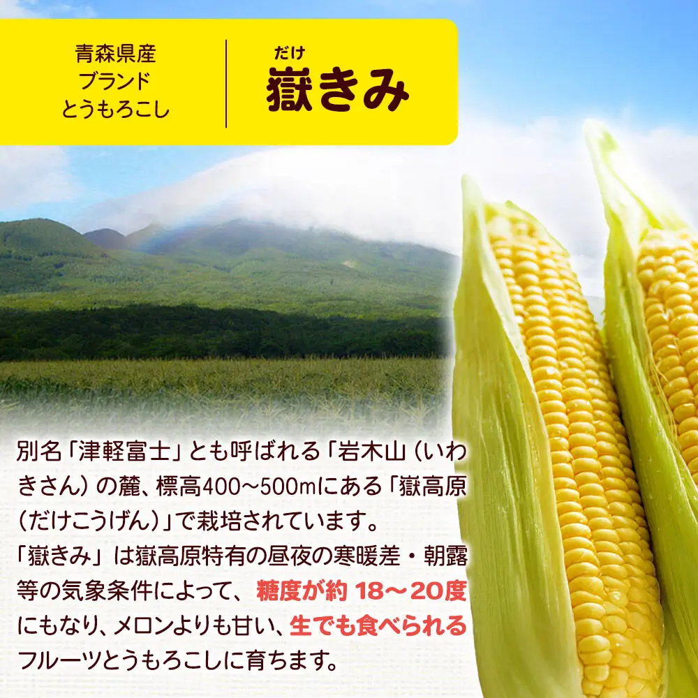 嶽きみ焼酎セット（嶽きみ焼酎34度(乙種焼酎）500ml ×1本・嶽きみ焼酎25度500ml(乙種焼酎）×1本）【 お酒 】