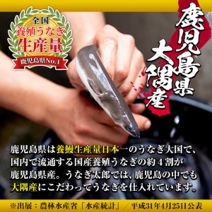 【49748】秘伝のタレ付き！大隅産うなぎ(蒲焼き3尾・白焼き1尾・肝串2本)セット！創業50年以上の老舗職人が備長炭で焼き上げた贅沢な蒲焼き！【うなぎ太郎】