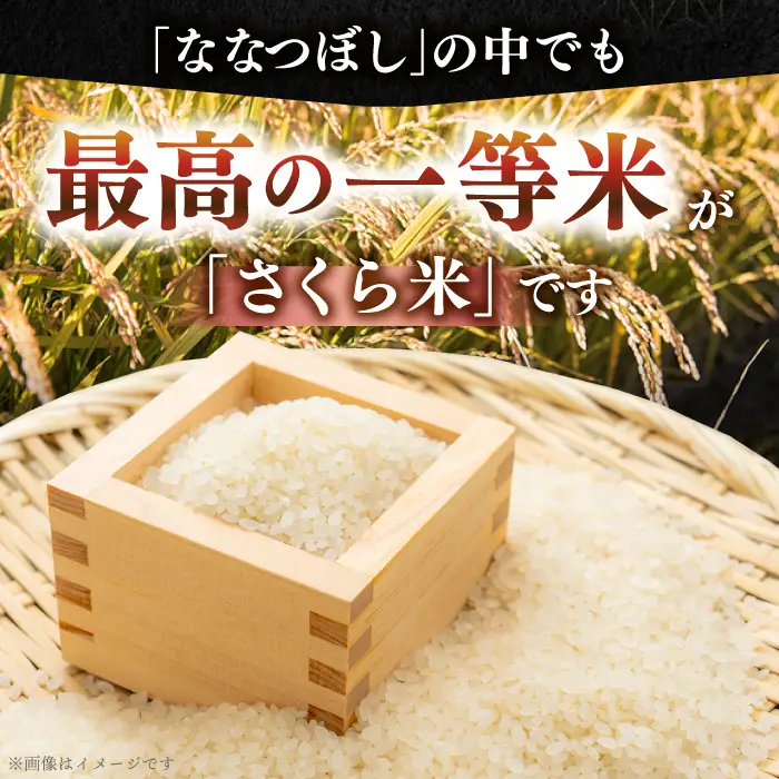 令和7年産 令和8年産 【全12回定期便】【無洗米】さくら米（ななつぼし）5kg 1年 12ヵ月 お米 無洗米 白米 ななつぼし 北海道 [AXAB010]