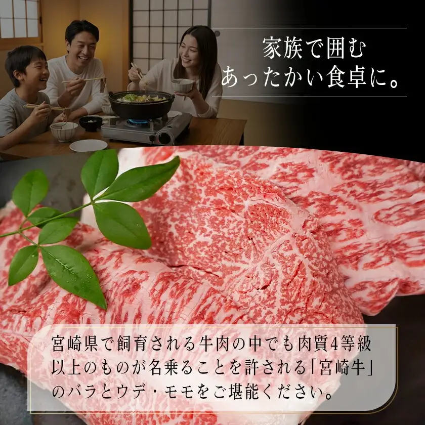 宮崎牛切り落とし食べ比べ1kg_〔MJ-25-015〕_(都城市) 牛肉 ブランド和牛 牛バラ切落し肉 ウデ モモ切落とし肉 500g 薄切り肉 牛バラスライス 牛小間切れ 国産黒毛和牛 お取り寄せ グルメ