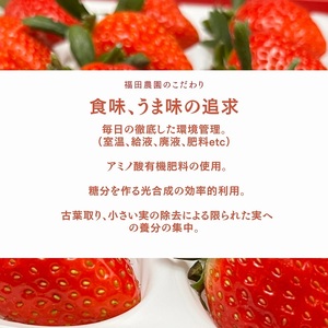 福田さんちのイチゴ(さぬきひめ) 2Lサイズ×2パック 500g以上【配送不可：北海道、沖縄県、離島エリア】苺 農園直送 いちご採れたて直送