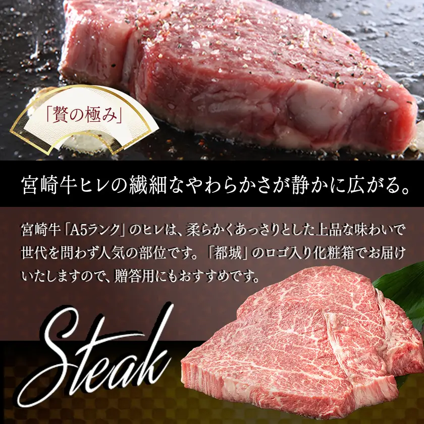 【期間限定】宮崎牛ヒレステーキ(A5)100g×2枚〔18-0103〕_(都城市) 牛肉 牛ヒレステーキ用肉 A5等級 A5ランク 100g×2枚 真空パック ステーキソース 塩こしょう付 赤身 フィレ おうち時間 ギフト 贈答用