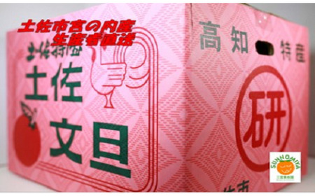 【先行予約】三宮果樹園の土佐文旦 家庭用3kg〈2027年2月14日から2027年3月15日発送〉高知県 土佐市【三宮果樹園】[BQAP003]