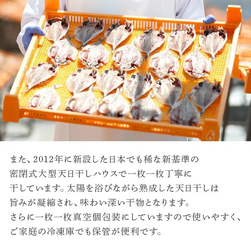 昭徳の天日干し 1枚60g~90g 全16枚(真あじ開き60g×6枚 真さば片身90g×3枚 かます開き80g×3枚 連子鯛開き180g×2枚 剣先いか開き70g×2枚)