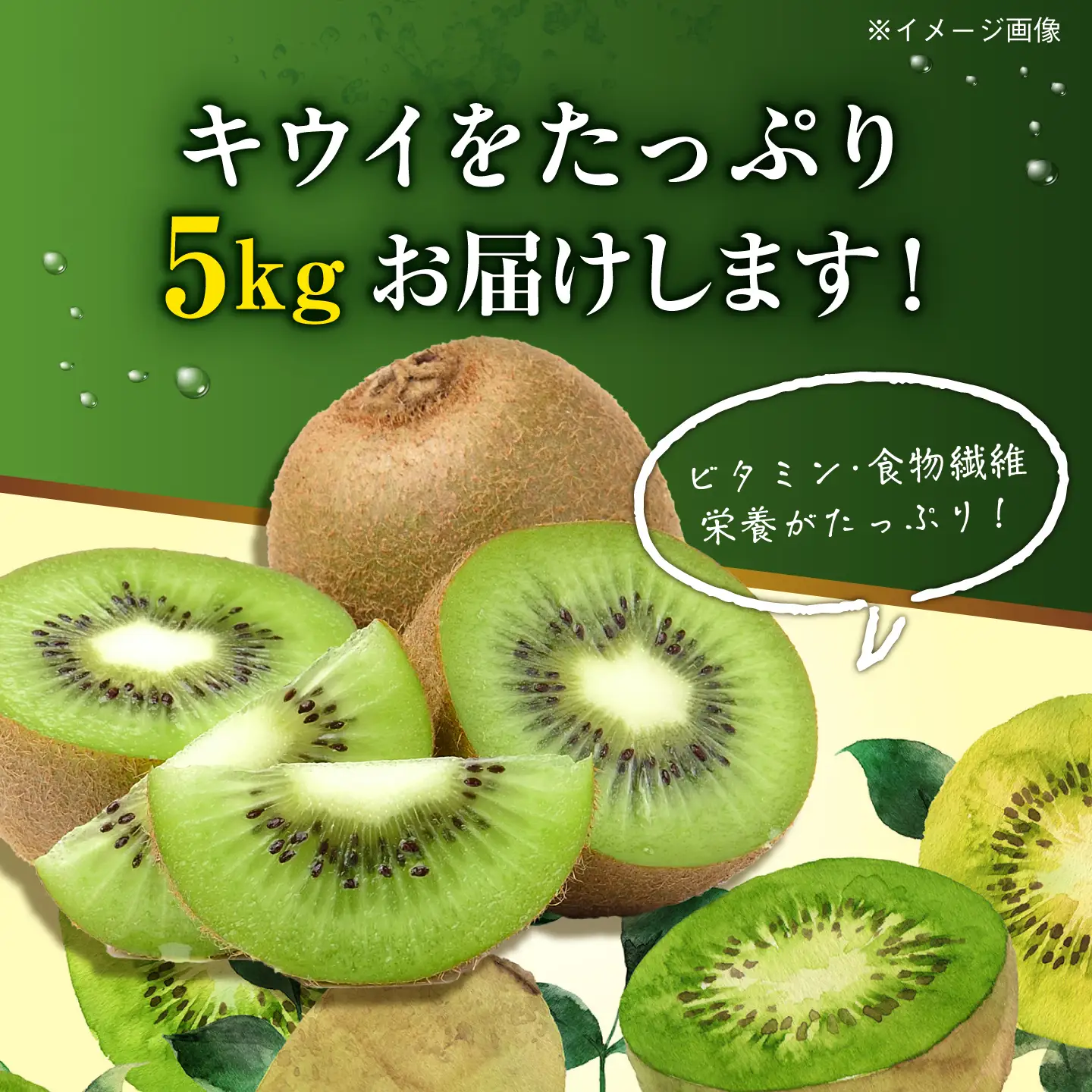 キウイ 5kg  キウイフルーツ [AGBN002]