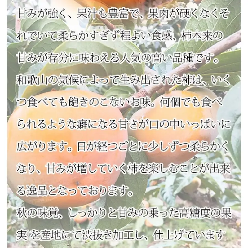 柿 平核無柿（ひらたねなしがき）約7.5kg　和歌山秋の味覚【2026年10月上旬頃～11月上旬頃に順次発送予定】【UT37w】【Z008-uot700A】