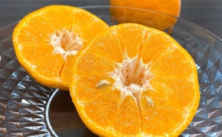 【R8年発送】＜訳あり＞ 柑橘バラエティーセット（５kg） 【R01374】