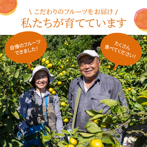 S110-001_熊本県天草産　肥の豊5kg　19～20玉〈先行受付〉