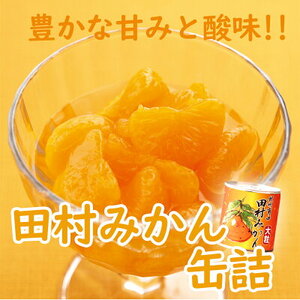 田村みかん 缶詰 12缶セット_AY6003n