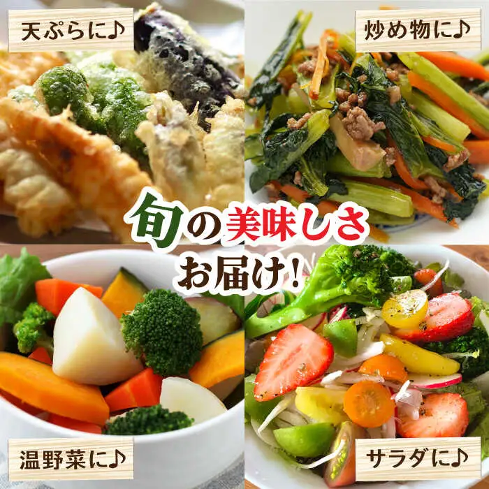 【12回】野菜定期便 11品目 野菜セット [SCZ007]