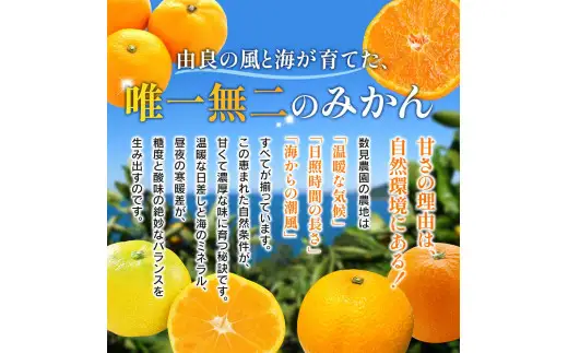 完熟さつき八朔 8kg / はっさく 柑橘 由良町 果物 フルーツ 産地直送 和歌山 ※3月上旬～4月上旬頃に順次発送【kzmn022-r-8】