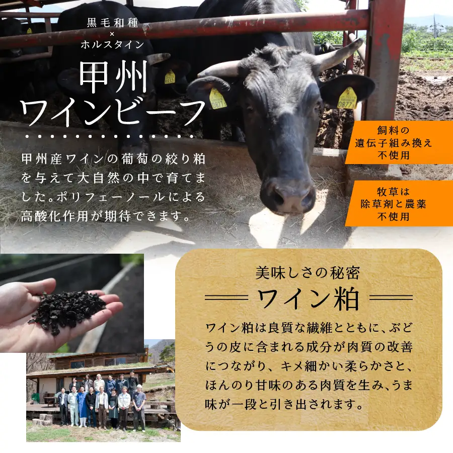 【ふるなびWEEK対象】 山梨県産 熟成肉 ハンバーグ 10個 セット 冷凍 ハンバーグ