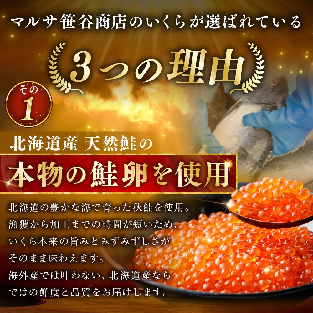 【5営業日以内発送】北海道産いくらしょう油漬250g×2箱 ふるさと納税 いくら