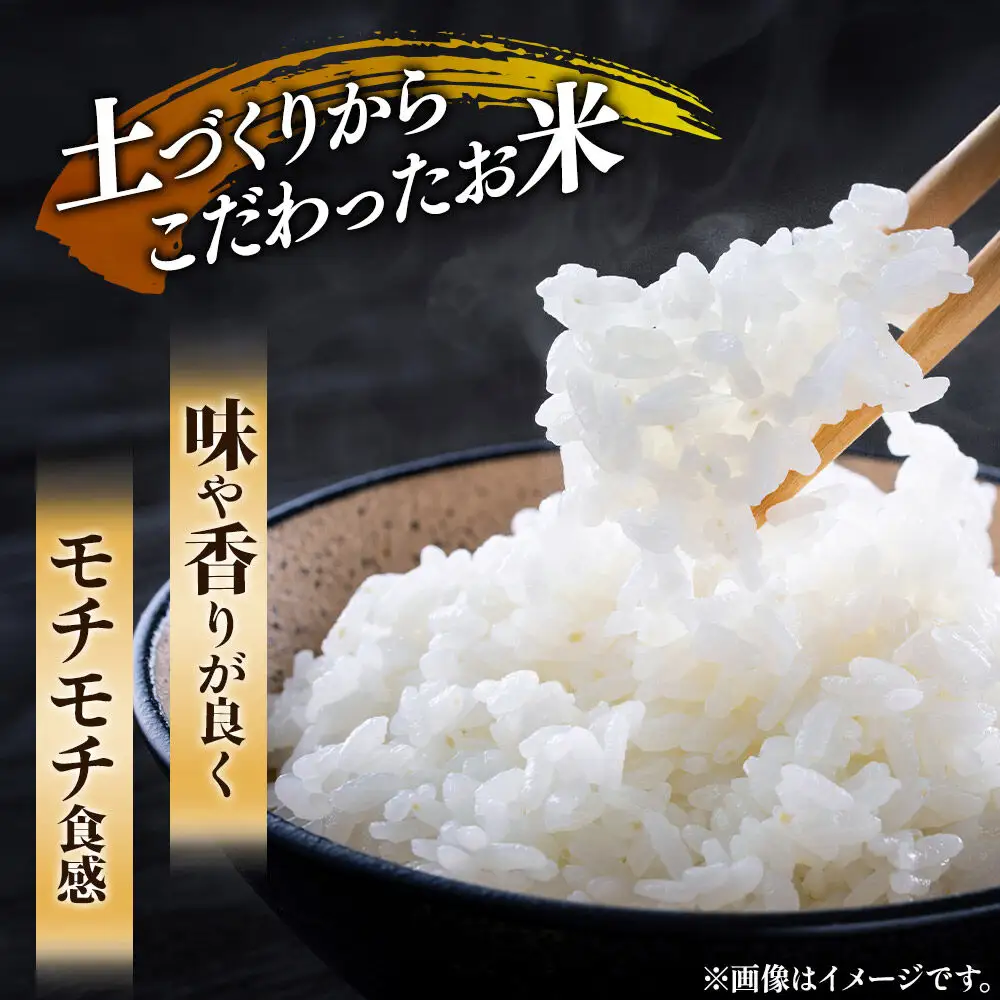 ＜賞味期限間近＞秋田県産 ひとめぼれ パックご飯 200g×24個